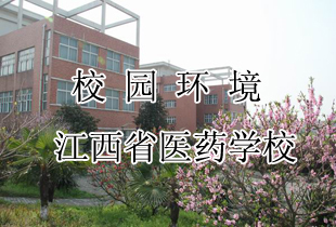 江西省医药学校校园环境